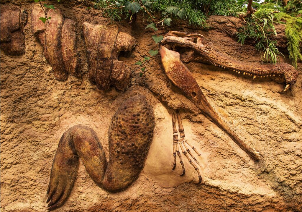 Dinosaur digs in Utah